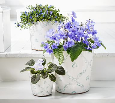 Julia Berolzheimer Poppy Handcrafted Terracotta Planters | Pottery Barn (US)