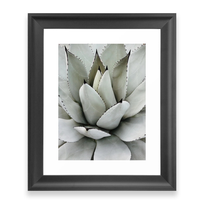 Desert Agave Framed Art Print by megrogers | Society6