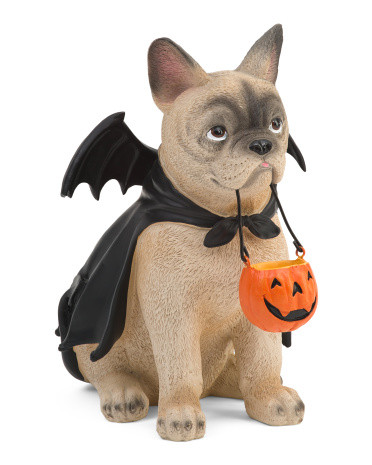Bulldog In Vampire Costume Decor | Halloween | Marshalls | Marshalls
