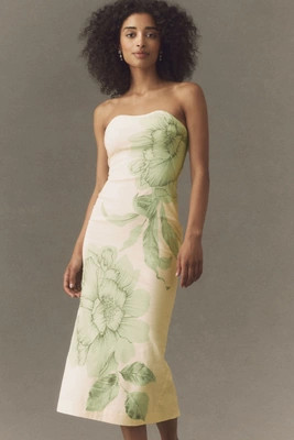 BHLDN Strapless Fitted Midi Dress | Anthropologie (US)
