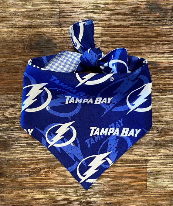 Tampa Bay Lightning Reversible Dog Bandana | Etsy (US)