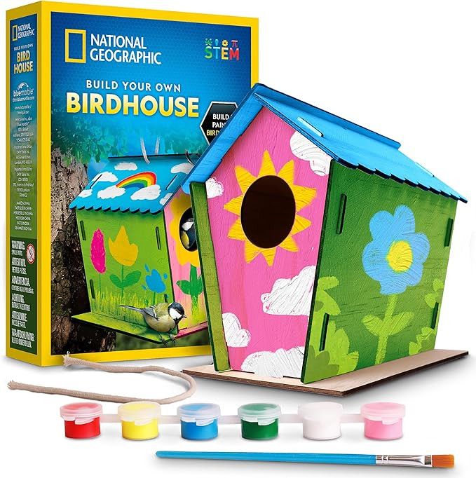 National Geographic Build Your Own Birdhouse Kit – DIY Wooden Birdhouse Craft with Paints, Brus... | Amazon (US)