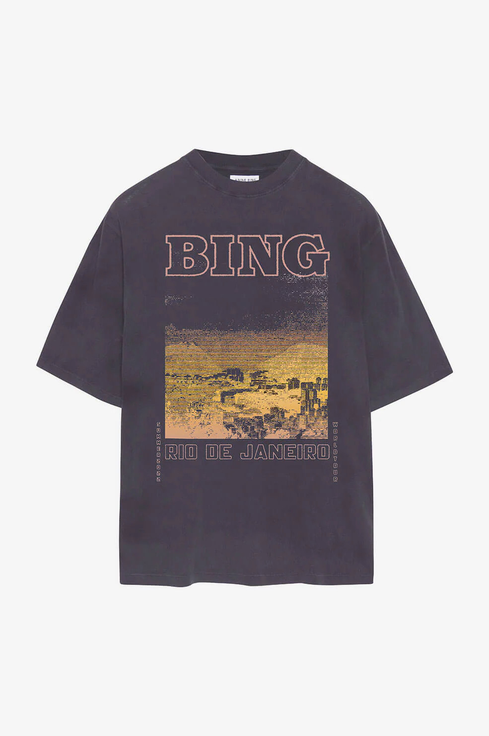 Caden Tee Rio De Janeiro | Anine Bing