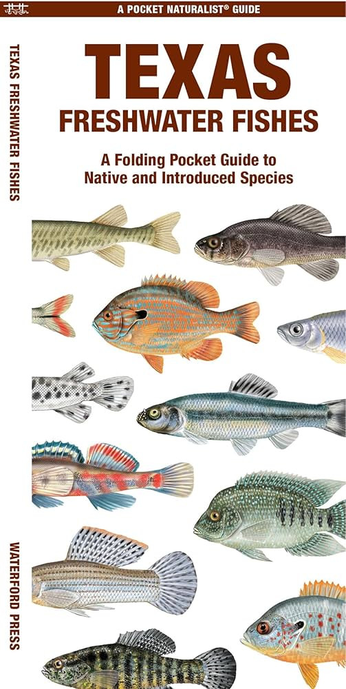 Texas Freshwater Fishes (Nature Observation North America) | Amazon (US)