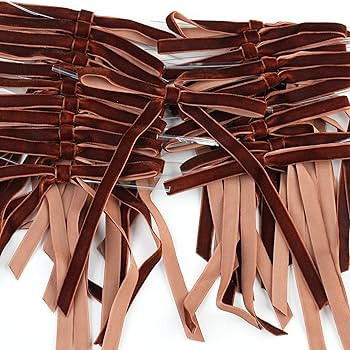 Brown Velvet Ribbon Christmas Bow 5 x 7 Inches Premade Brown Bows for Christmas Tree Hanging Deco... | Amazon (US)