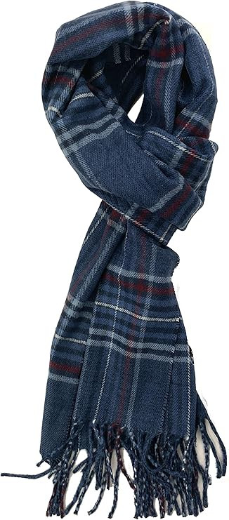 Plum Feathers Plaid Check and Solid Cashmere Feel Winter Scarf, Warm Scarfs, Cold Weather Accesso... | Amazon (US)