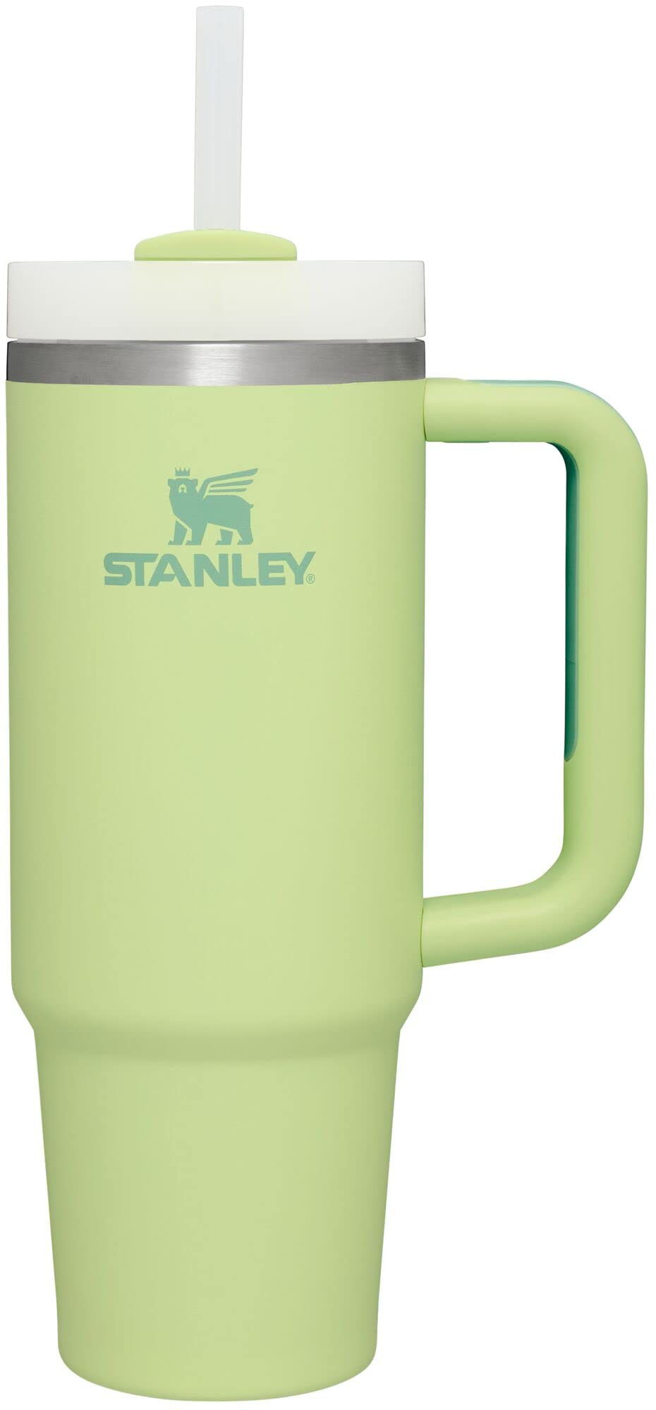 Stanley Quencher H2.0 FlowState Stainless Steel Vacuum Insulated Tumbler with Lid and Straw for Wate | Amazon (US)