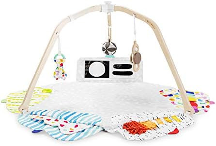 The Play Gym by Lovevery | Stage-Based Developmental Activity Gym & Play Mat for Baby to Toddler | Amazon (US)
