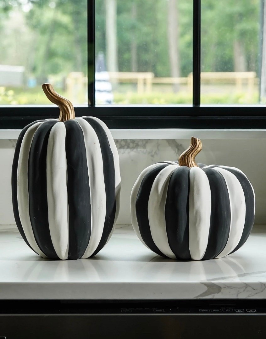 Black and white pumpkins

#LTKSeasonal #LTKHome