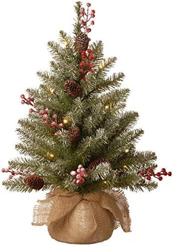 National Tree Company Pre-Lit Artificial Mini Christmas Tree, Green, Dunhill Fir, White Lights, D... | Amazon (US)