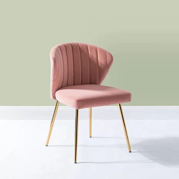 Daulton 20" Wide Velvet Side Chair | Wayfair North America