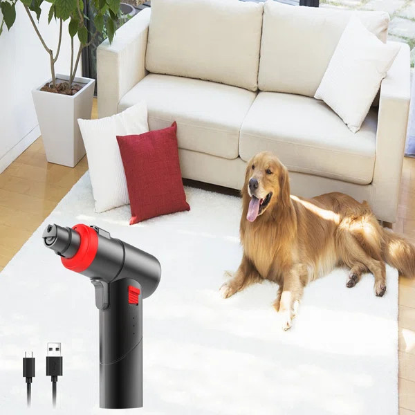 Ahrie New Dog Starter Kit | Wayfair North America