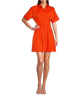 Sophia Button Down Collared Short Sleeve Dress | Dillard's