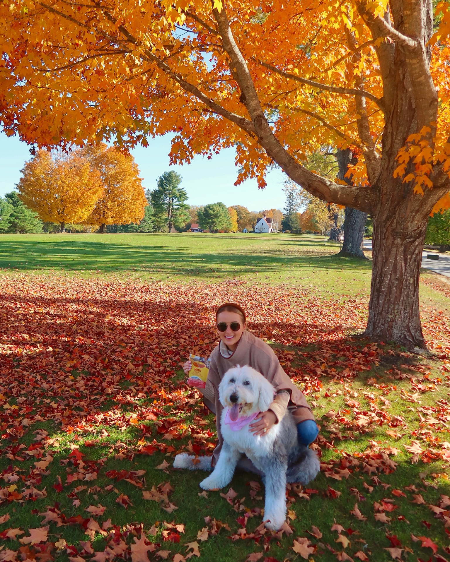 Did I mention they re only 2 calories per treat?! Definitely how Liberty maintains her stunning physique 😂 She's seriously obsessed with them. Probably because the ingredients are REAL! @zukespets @Target @Shop.LTK #ad #Chooseyouradventure #Zukespack #letsgozukes #TargetPartner #Target #liketkit 