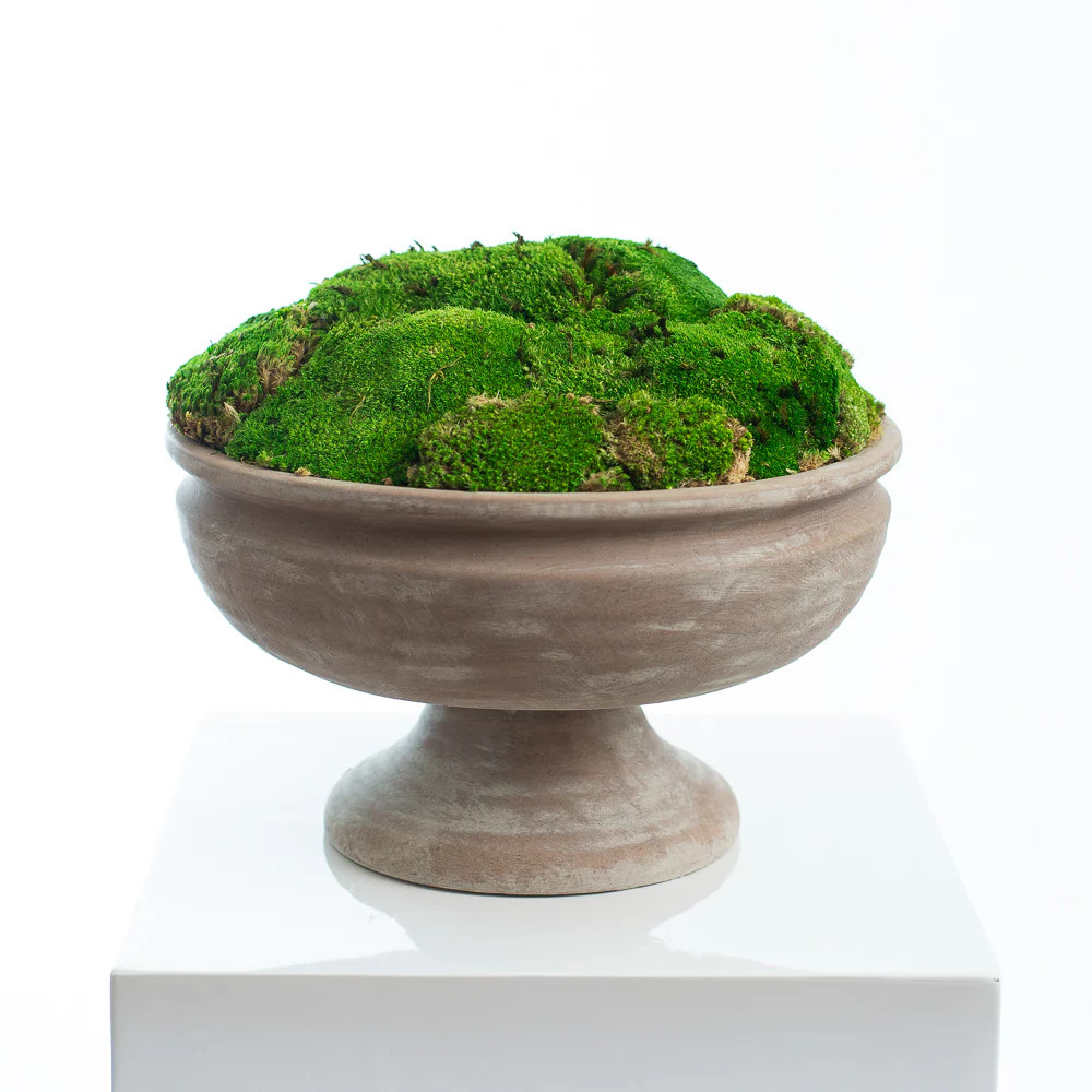 Large Footed Stoneware Compote Urn with Preserved-Dried Royal Moss Everyday Spring Summer Arrange... | Darby Creek Trading