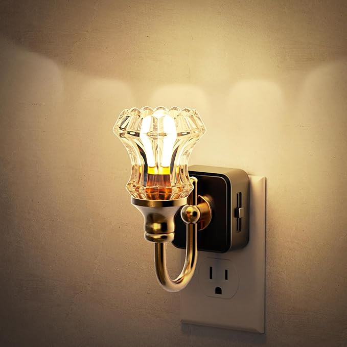 JandCase Night Light, Night Lights Plug into Wall, Dimmble Floral Glass LED Nightlight, 0-100 LM ... | Amazon (US)
