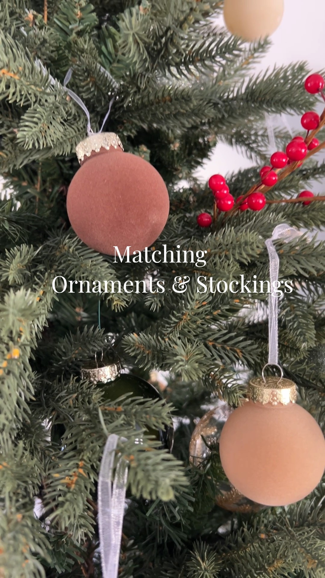 Velvet ornaments & matching stockings!!!

The ornaments are shatter proof and come in a pack of 25. Colors beige, brown and earthy green. 

The stockings are long and soft (not plush) and come in a pack of 6. 

#LTKHome #LTKSeasonal #LTKHoliday