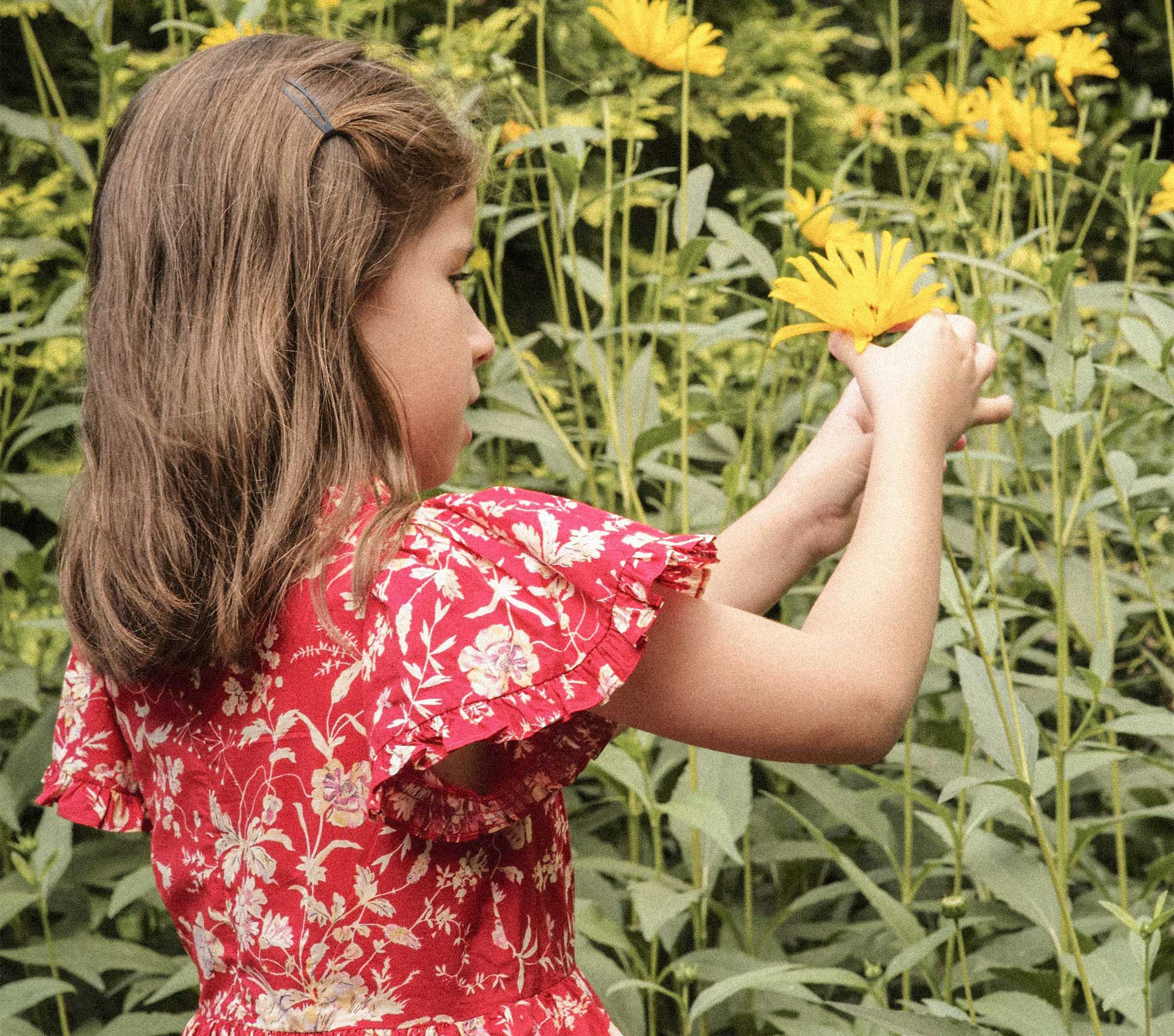 Calliope Dress - Oak Bluffs Floral | DÔEN | DOEN