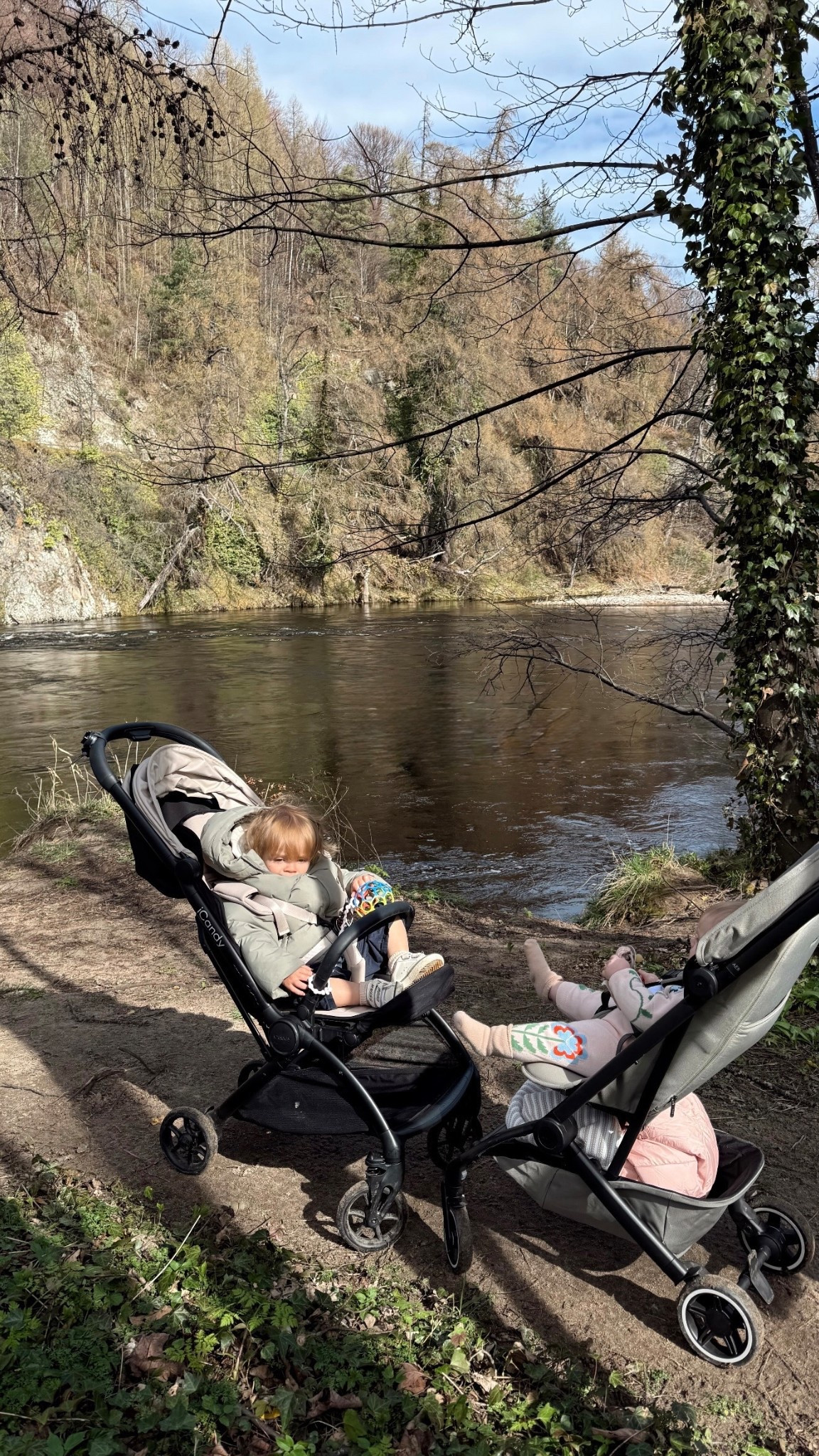 Our new fav travel stroller! 

#LTKtravel #LTKbaby #LTKfamily