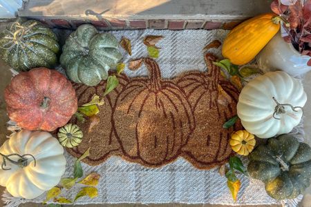 realistic & affordable faux pumpkins! Perfect for the homestead- my farmhouse front porch fall decor 🌾🍂 

Best Artificial Pumpkins That Look Real! 


#fallhomedecor #fall #pumpkins #realisticpumpkins

#LTKhome #LTKunder50 #LTKSeasonal