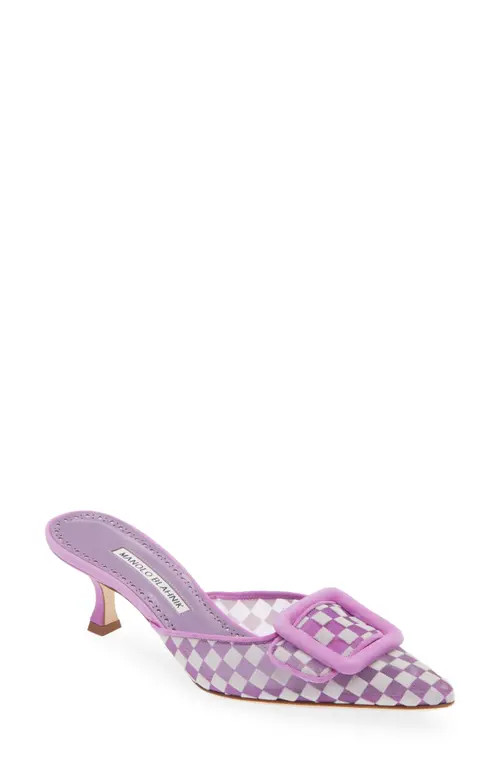 Manolo Blahnik Maysalebi Buckle Pointed Toe Mule in Purple at Nordstrom, Size 10.5Us | Nordstrom