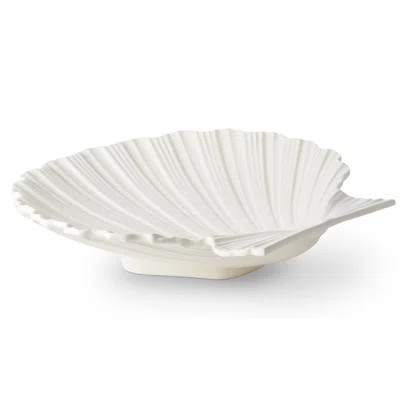 Shell Platter | Wayfair North America