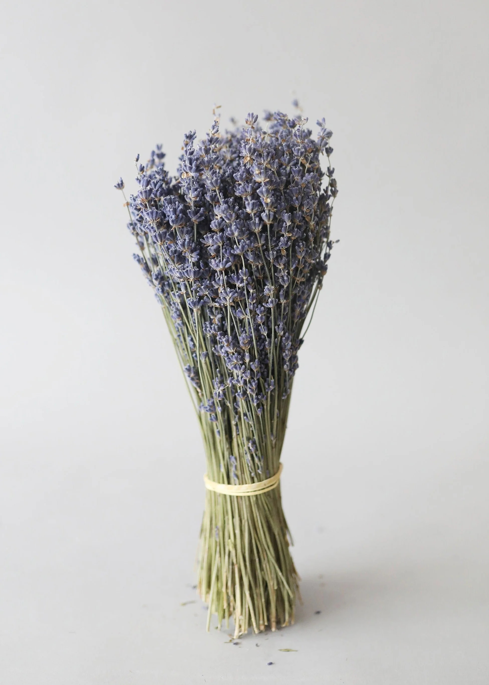 Natural Fragrant Dried Lavender Bundle | Dried Flowers at Afloral | Afloral