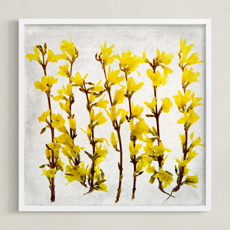 Forsythia | Minted