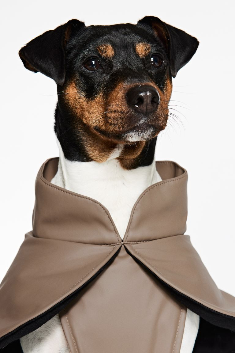 Hundejacke mit Coating - Braun - Ladies | H&M AT | H&M (DE, AT, CH, NL, FI)