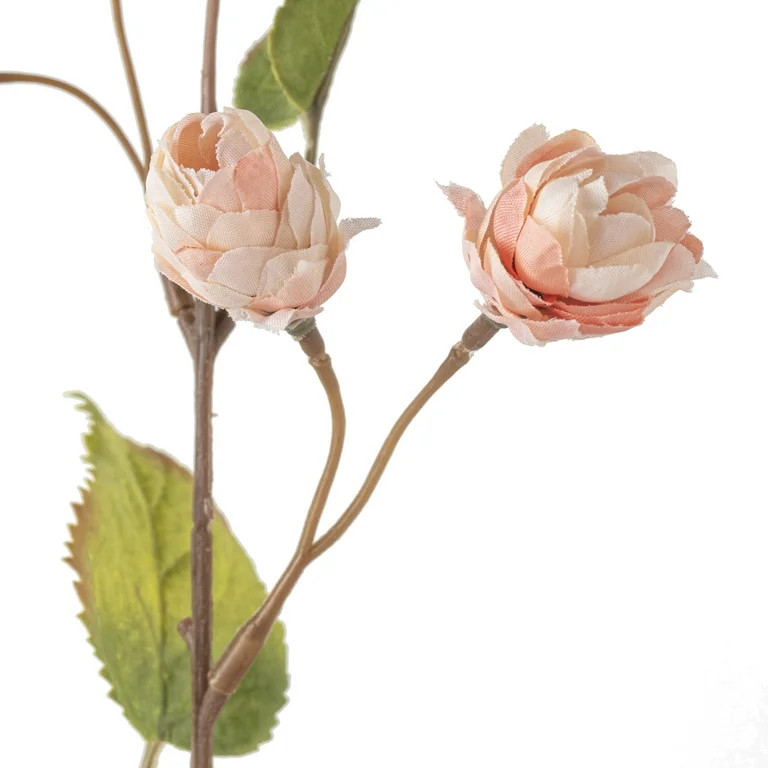 Blush Hops Stem by Ashland | Walmart (US)