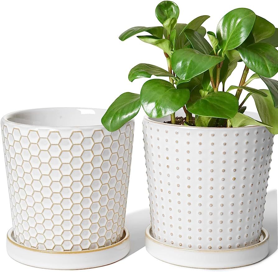 LE TAUCI Embossed Ceramic Plant Pots, Set of 2, 5.4 Inch Flower Pots for Indoor Plants, Planters ... | Amazon (US)