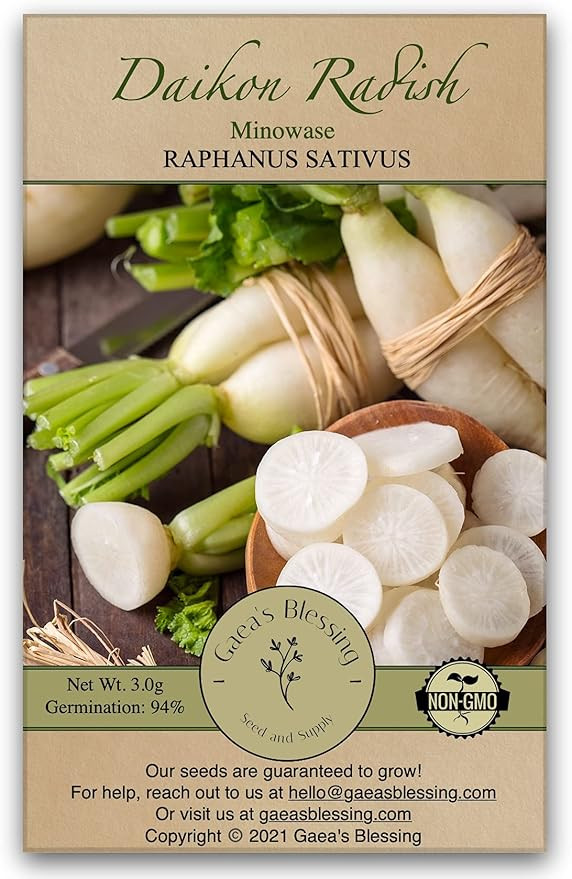 Gaea's Blessing Seeds - Daikon Radish Seeds (2.5g) - Minowase Heirloom Non-GMO Seeds with Easy to... | Amazon (US)