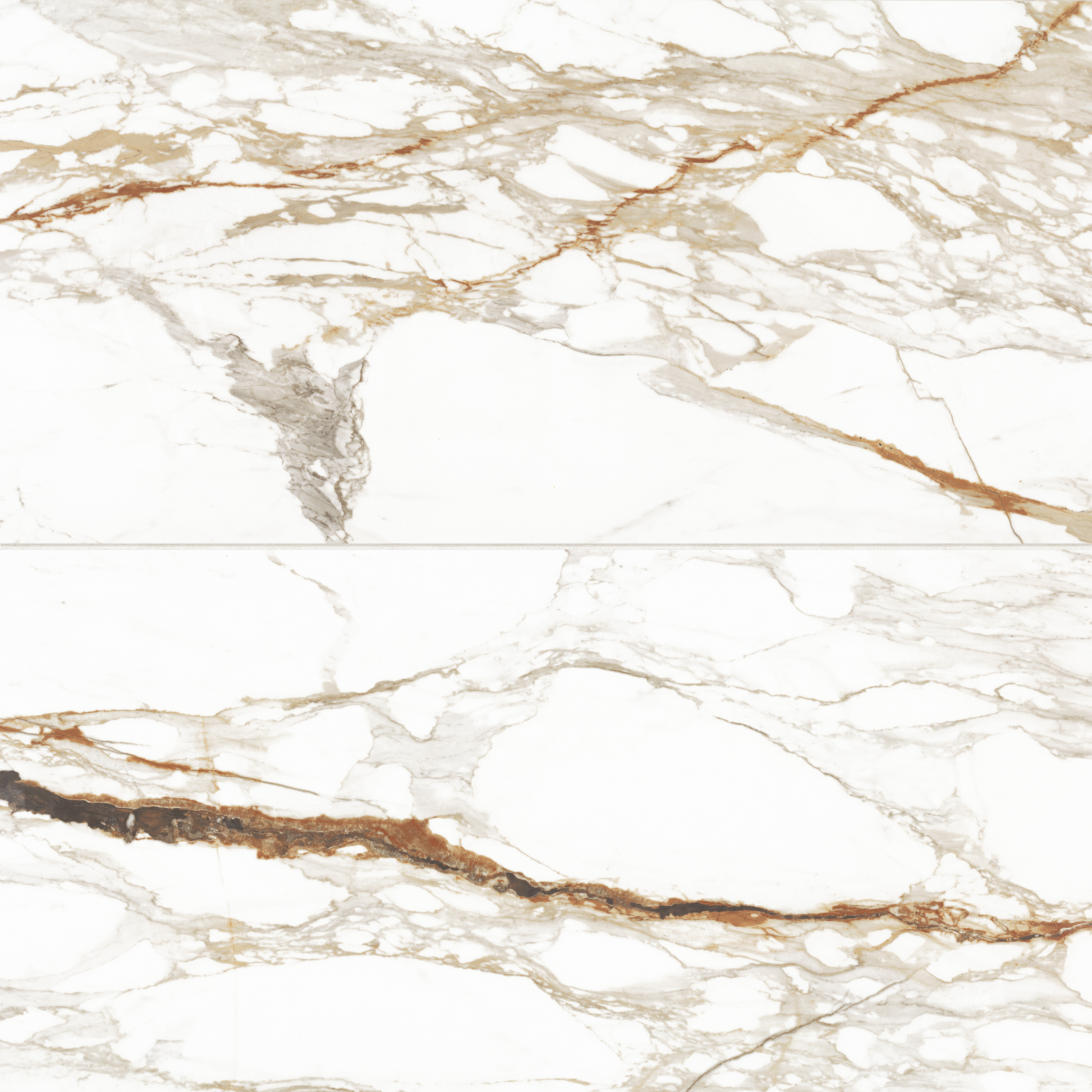 Prati 24" x 48" Honed Porcelain Field Tile in Calacatta Macchia Vecchia | Bedrosians Tile and Stone