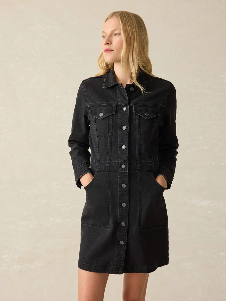 Denim Michelle Dress - Vintage Black Wash | Faherty