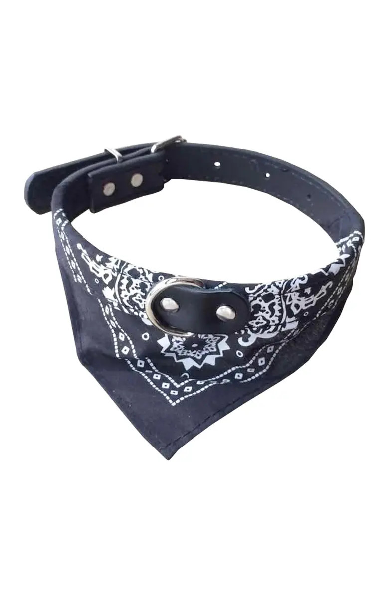 Small Black Bandana Collar | Nordstrom Rack