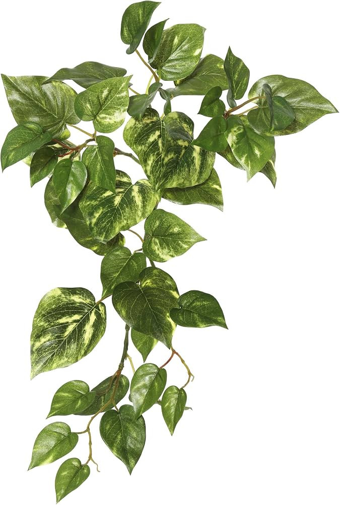 Vickerman Everyday 18" Artificial Green Pothos Hanging Bush 3 Pack - Faux Indoor Plant Bush - Gre... | Amazon (US)