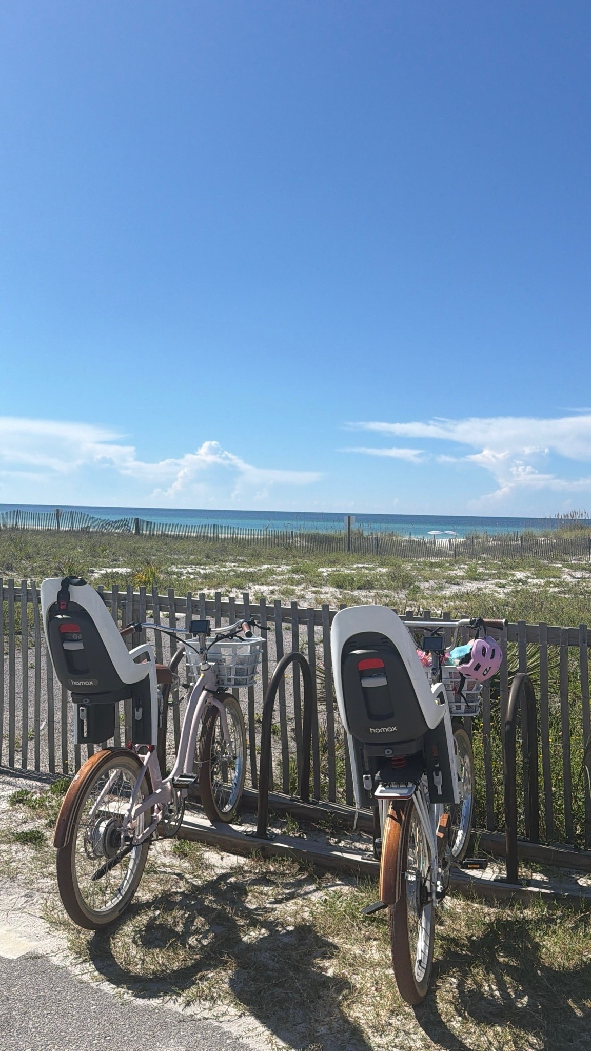 Biking to the beach is the best fam activity!! Our toddler bike seats are from Hamax (unlinkable) so I linked other top rated options!

#LTKmomlife #LTKBaby #LTKKids