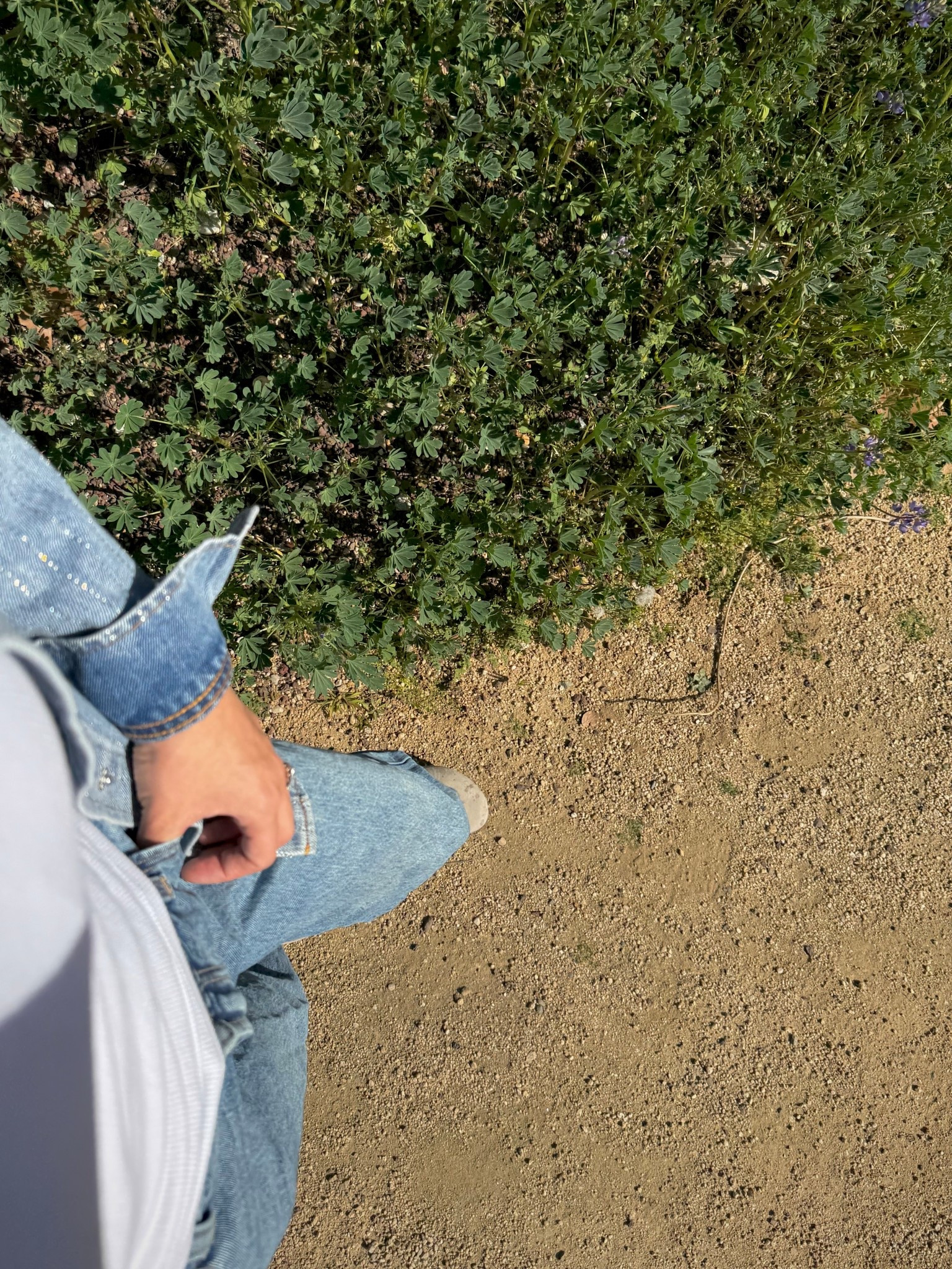 We love a jean on jean moment 👖

#LTKootd #LTKgrwm #LTKmomlife