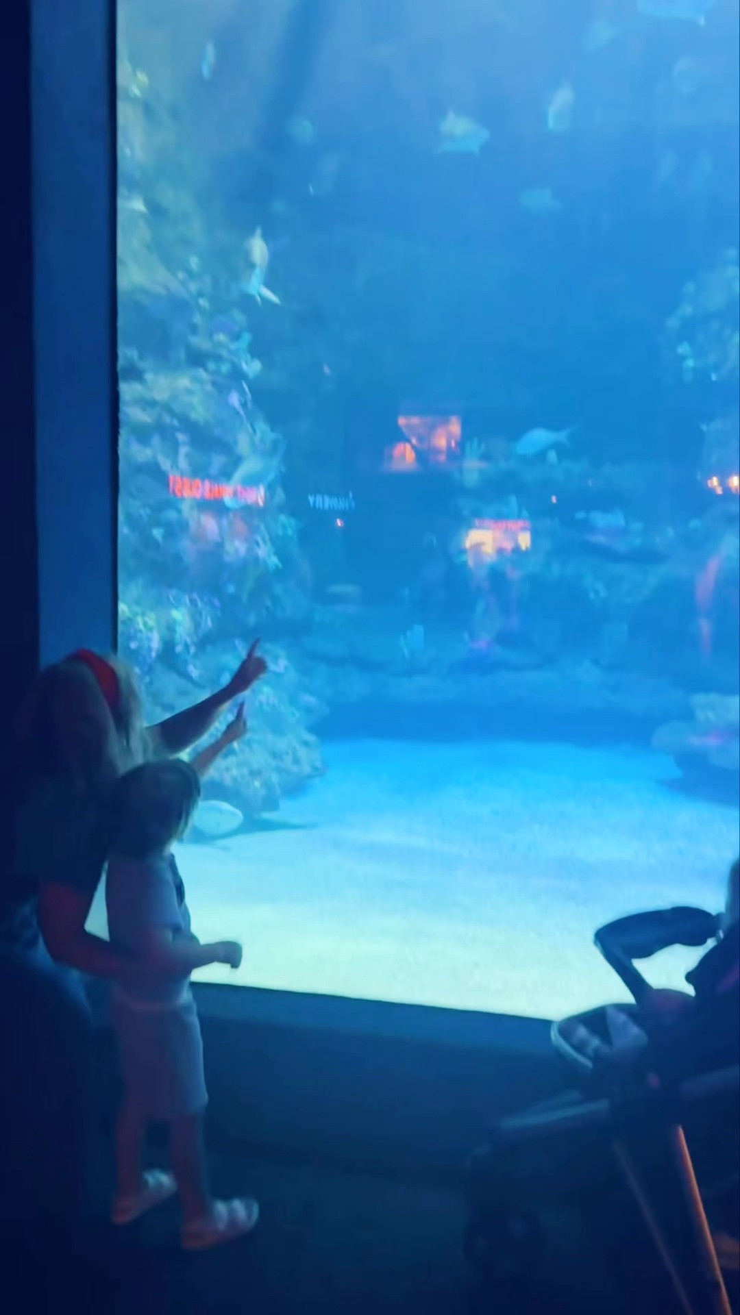 u n d e r  t h e  s e a 🌊🐳🐚🐋🐠🦈⚓️🐟💦 #ncaquarium #northcarolinaaquarium #babysfirsttriptotheaquarium #babysfirstaquariumvisit 

Oh what a fun 🤩 day we’ve had at the @ncaquariumff 🩵 with these two little birthday 🎂 week cuties 🥰- the sweetest lil’ fishies 🐟 in the sea!! 😉🌊 #birthdayweekadventure 

We had the best time 😍 admiring all of God’s stunning creation in all of the different marine wildlife 🦈🌊🐟and just soaking it all in!! ✨ My parents took us here as little girls 👧, so it was so special getting to bring my own babies 👶🏼 back for both of their very first trips to the state aquarium ⛵️ and seeing the magic 🪄 and wonder 💭 if it all through their little eyes!! 🐠🌊💦