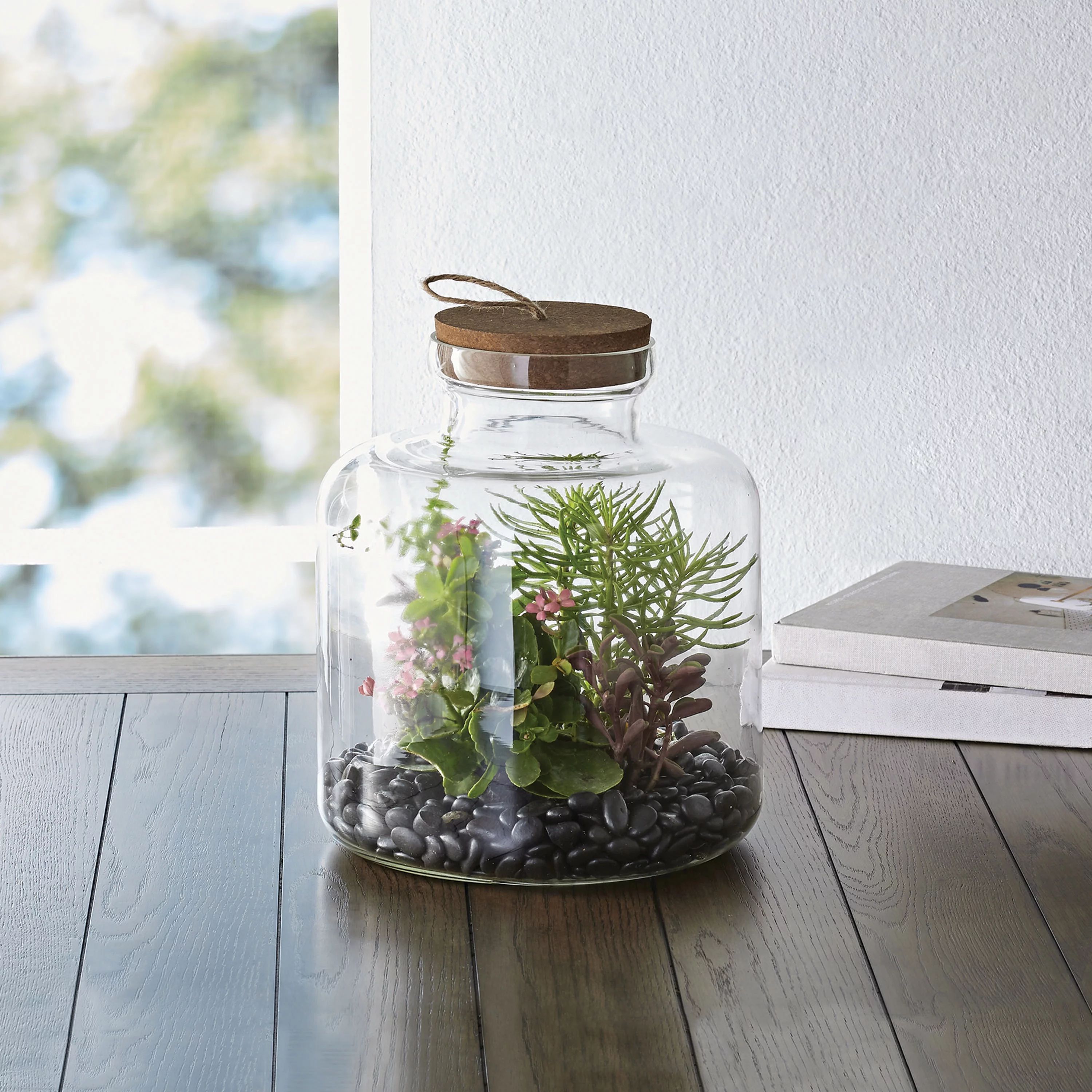 Better Homes & Gardens Medium Clear Glass Terrarium, 10 x 10 x 12 in - Walmart.com | Walmart (US)