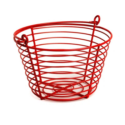 John Egg Basket | Wayfair Professional