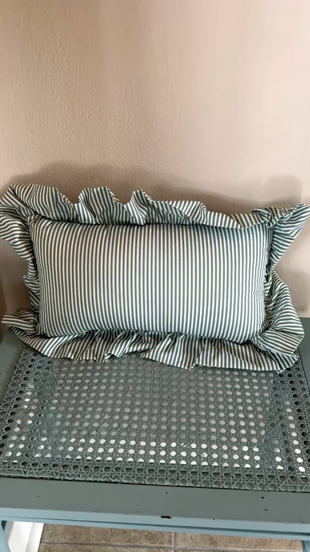 The he cutest little pillow

#marshalls #pillow #pattern #organizeddwelling 

#LTKSeasonal #LTKHome #LTKSpringSale