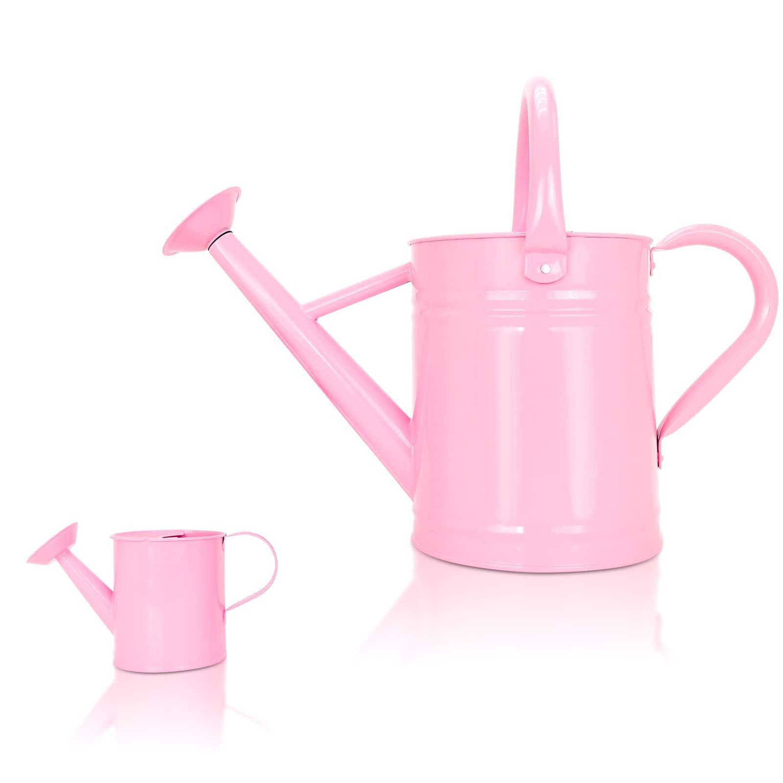 Metal Watering Can (1 Gallon) for Outdoor&Indoor Plants with Free Small Watering can for Kids, Plant Watering Can with Removable spout, Perfect for Garden Flower, Houseplants, Pink | Amazon (US)
