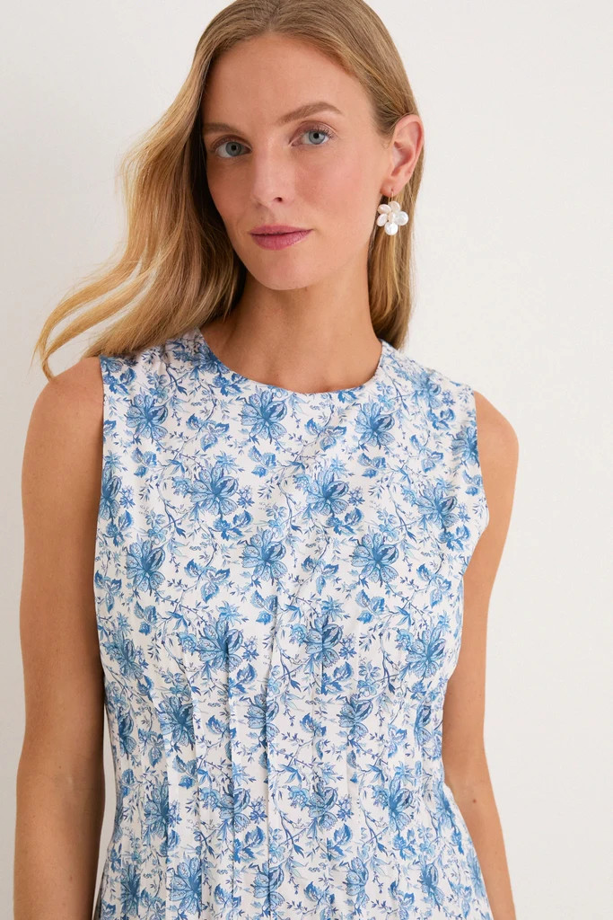 French Blue Floral Toile Christina Maxi Dress | Tuckernuck (US)