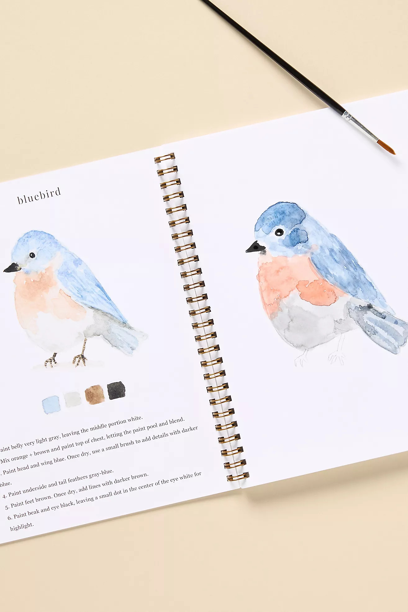 Emily Lex Studio Watercolor Workbook | Anthropologie (US)