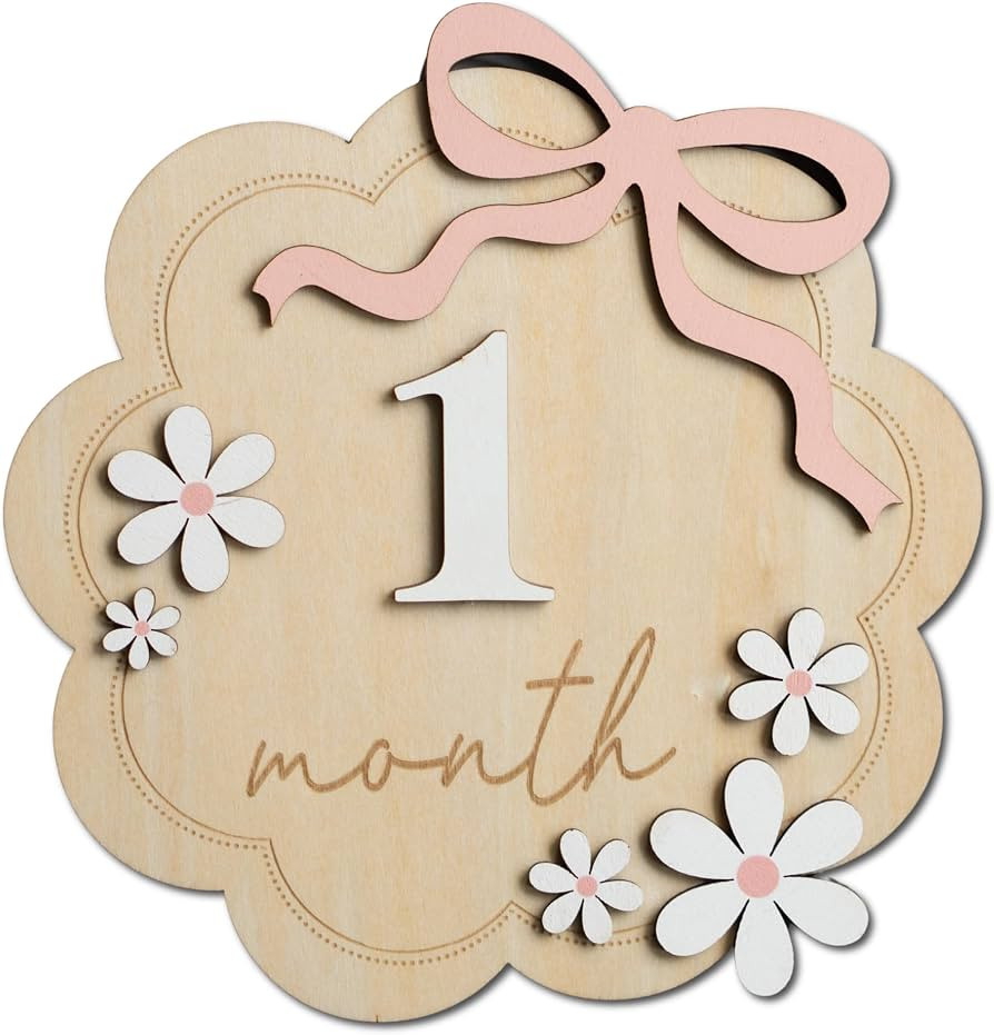 Baby Monthly Milestone Sign,1-12 Monthly Baby Milestone, Month Milestone Baby Girl, Baby Months M... | Amazon (US)