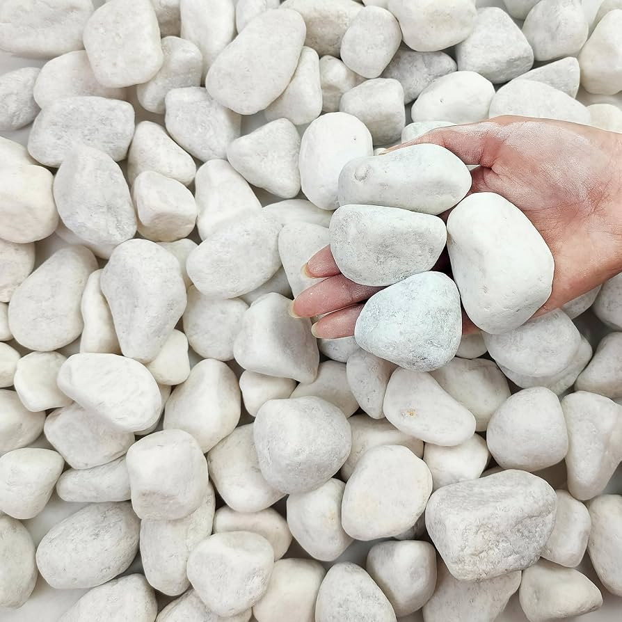 FANTIAN 20 lbs White Rocks for Landscaping, 2-3 Inch Large River Rocks. Decorative Pebbles for Pl... | Amazon (US)