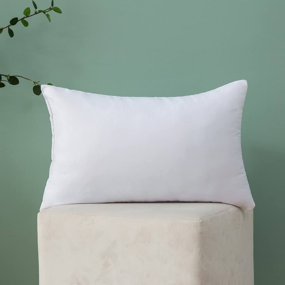 MIULEE Throw Pillow Insert Hypoallergenic Premium Pillow Stuffer Sham Rectangle for Decorative Cu... | Amazon (US)