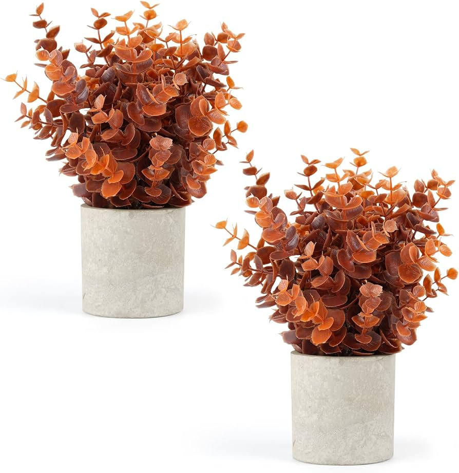 Velener 2 PCS Small Fake Eucalyptus Plant Artificial Potted Plants Indoor for Desk, Shelf, Home D... | Amazon (US)