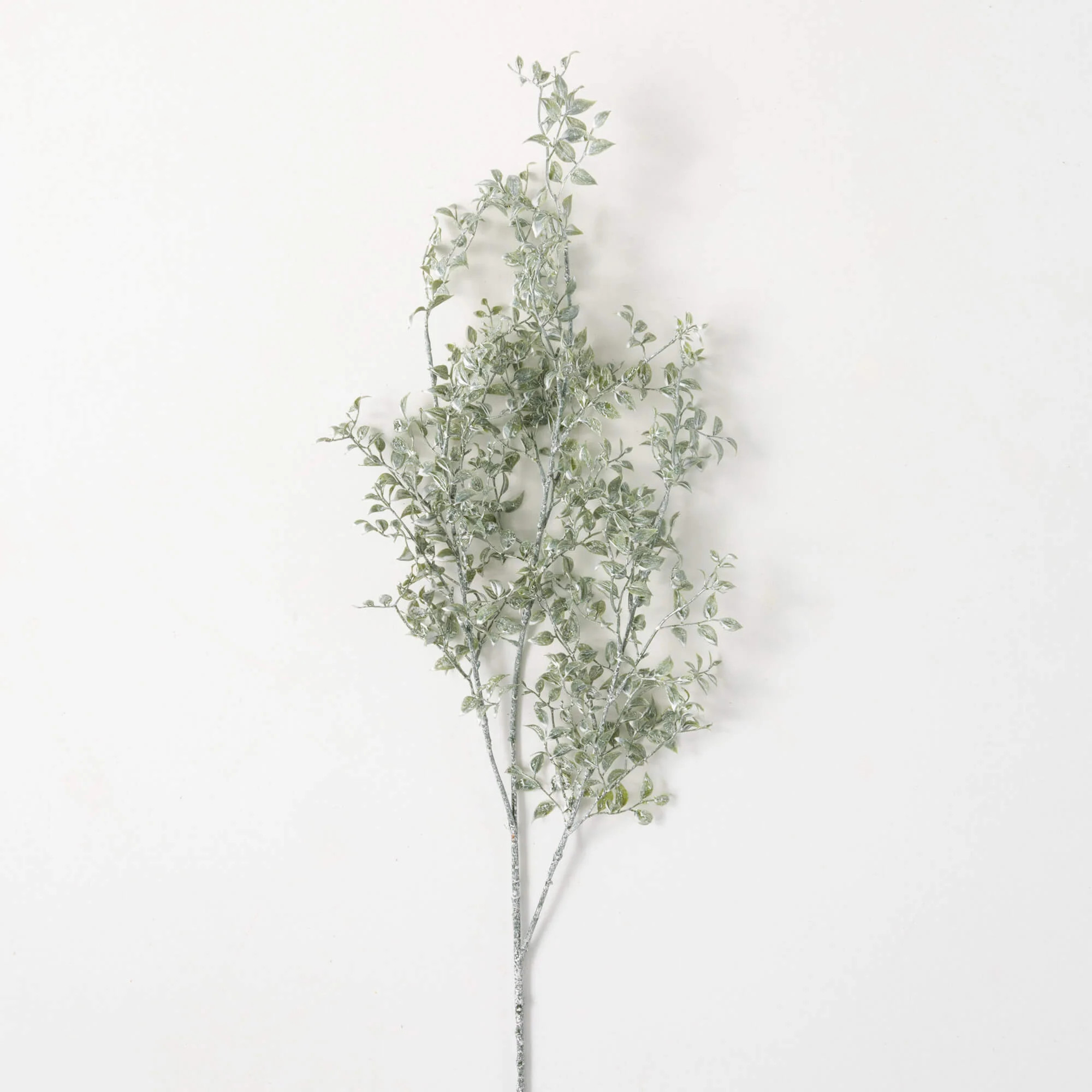Smilax Stem - 36" | Eco Chic Home